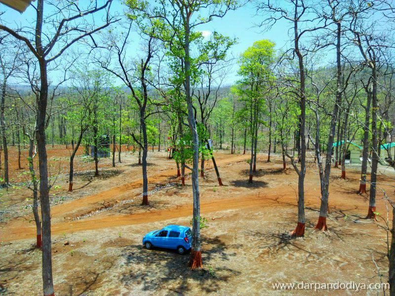 A View From The Top - Devinamal Campsite - Eco Tourism Center in Dang, Gujarat - 4