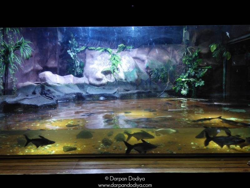 Jagdishchandra Bose Aquarium, Surat Multidisciplinary Underwater