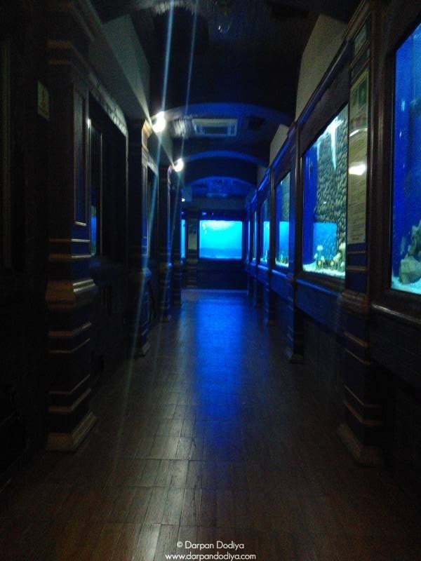Jagdishchandra Bose Aquarium Surat - Places To See - Travel Places - Tourism In Surat 19