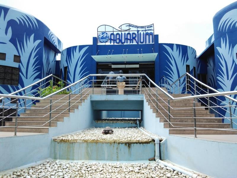 Jagdishchandra Bose Aquarium Surat - Places To See - Travel Places - Tourism In Surat 7