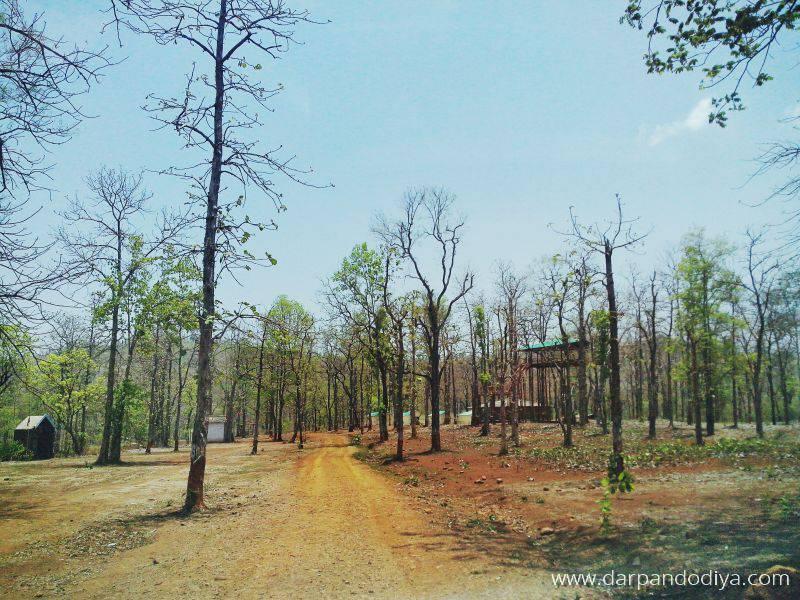 Lane Entering The Site - Devinamal Campsite - Eco Tourism Center in Dang, Gujarat - 7