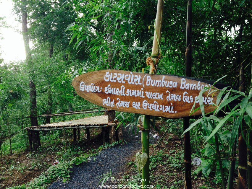Janki Van, Bhinar, Unai, Gujarat - Tree Forest Garden In Surat, Navsari Based On Ramayana - 18