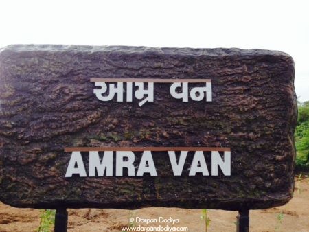 Janki Van, Bhinar, Unai, Gujarat - Tree Forest Garden In Surat, Navsari Based On Ramayana - 18