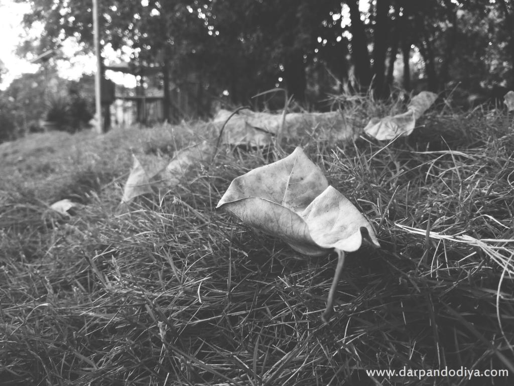 Waiting for Sunshine - Kilad Campsite Vansda, Nature Education Eco Center Near Saputara, Gujarat