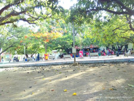 Sarthana Nature Park Zoo Surat - Entry Fess, Timing, Animals, Zoo In Gujarat, Photos, Map
