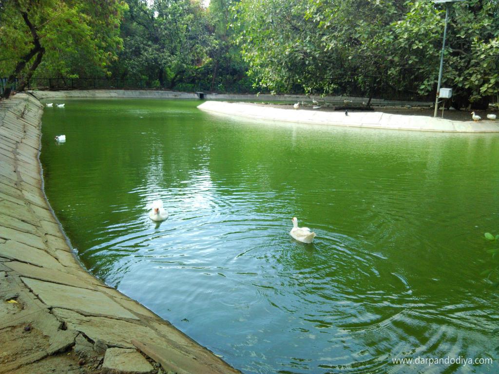 Sarthana Nature Park Zoo Surat - Entry Fess, Timing, Animals, Zoo In Gujarat, Photos, Map