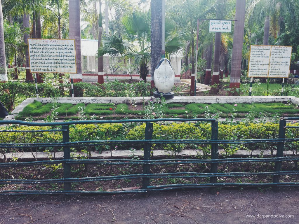 Waghai Botanical Garden In Dangs, Gujarat - Location, How To Reach, Distance From Surat, Saputara