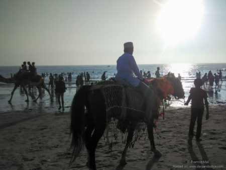 Mandvi Beach Kutch-Bhuj, Beach Hotels, Resorts and in Mandvi Beach Gujarat-7