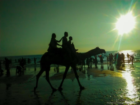 Mandvi Beach Kutch-Bhuj, Beach Hotels, Resorts and in Mandvi Beach Gujarat-9