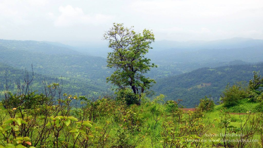 [Photos] [Monsoon] Wilson Hills Dharampur and Shankar Dhodh Waterfalls in Monsoon