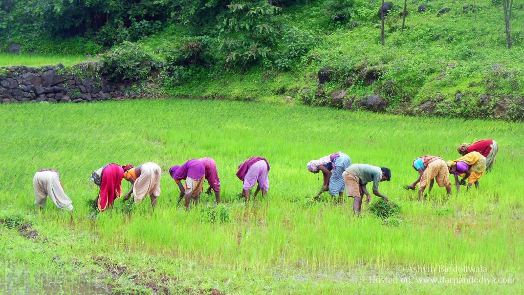 [Photos] [Monsoon] Wilson Hills Dharampur and Shankar Dhodh Waterfalls in Monsoon