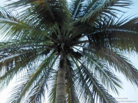 Photos of Santram Deri Nadiad, A Serene Tourist Place in Nadiad-9