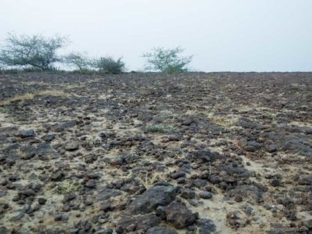 Tapkeshwari Temple and Caves In Bhuj- Offbeat Place to Visit in Bhuj, Kutch-25