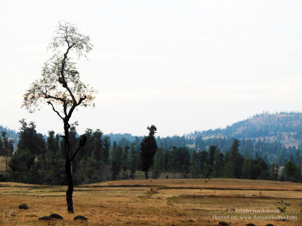 Trekking Ratangadh Near Mangi Tungi, Jain Mandir : Mangi Tungi Area In Photos