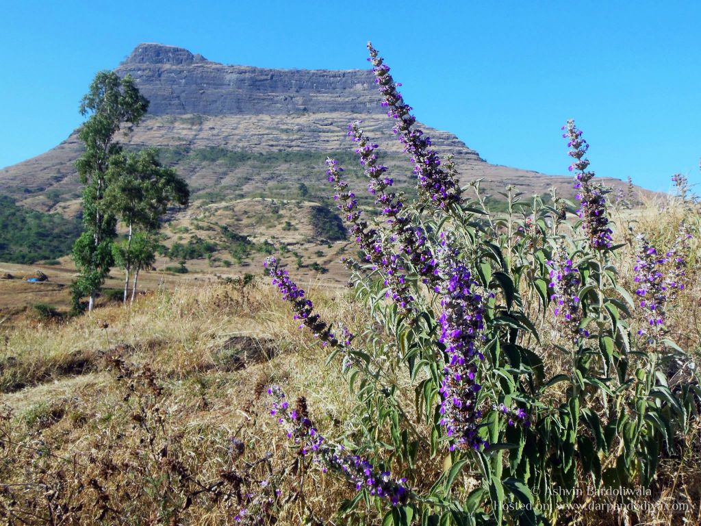 Trekking Ratangadh Near Mangi Tungi, Jain Mandir : Mangi Tungi Area In Photos