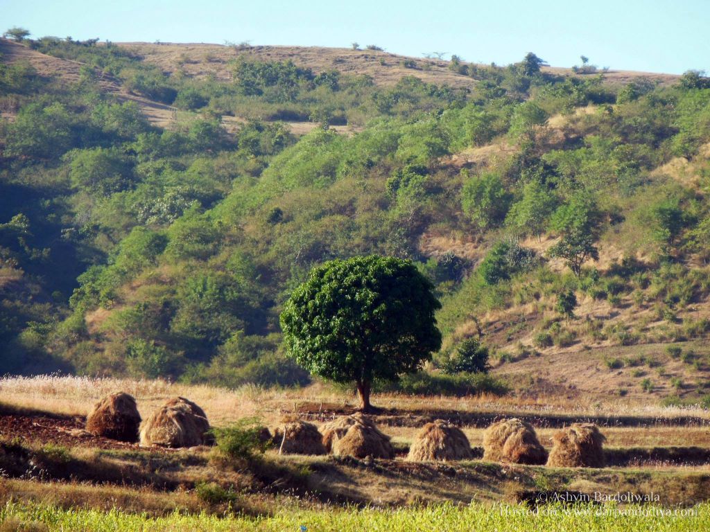 Trekking Ratangadh Near Mangi Tungi, Jain Mandir : Mangi Tungi Area In Photos