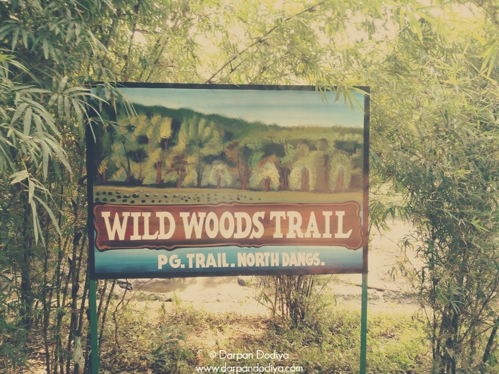 Purna Wildlife Sanctuary, Mahal Forest Campsite, Dang Forest, Gujarat - 3