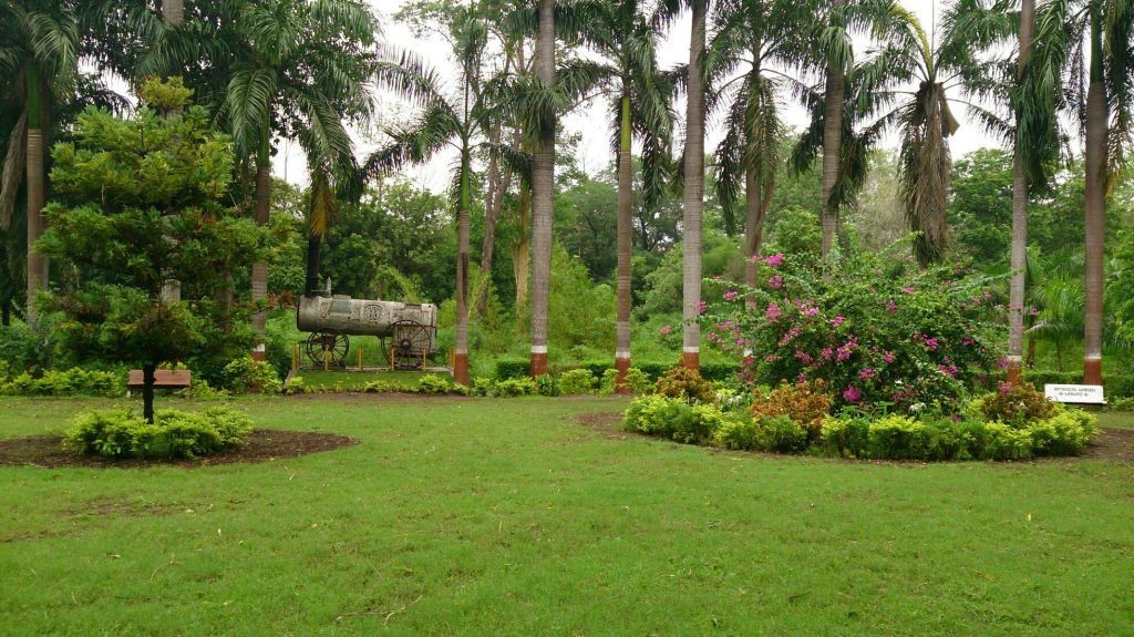 Waghai Botanical Garden, Dang Largest Garden In Gujarat - 3