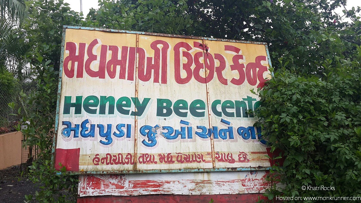 Honey Bees Centre Saputara 2