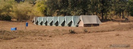 Jambughoda Wildlife Sanctuary, Gujarat Cover Blog