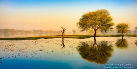 Thol Lake & Bird Wildlife Sanctuary, Ahmedabad by Kaushik Parmar Blog