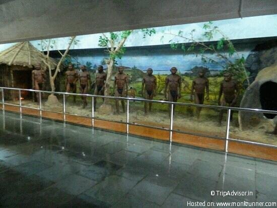 Tribal (Adivasi) Museum Saputara Dangs 5
