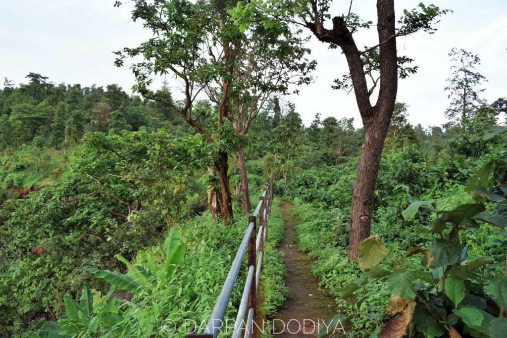 Koshmal Waterfalls – Hidden Treasure in Dangs – Darpan Dodiya