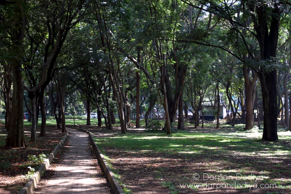 Cubbon Park Photos Bangalore 14