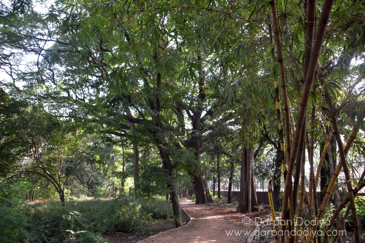 Cubbon Park Photos Bangalore 6