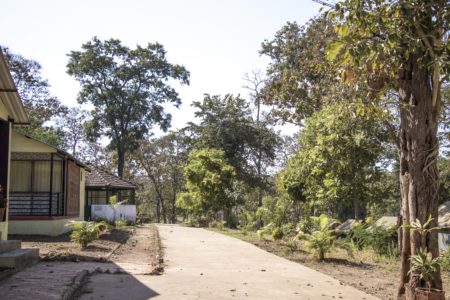 1A Dev Mogra Narmada Eco Tourism Campsite