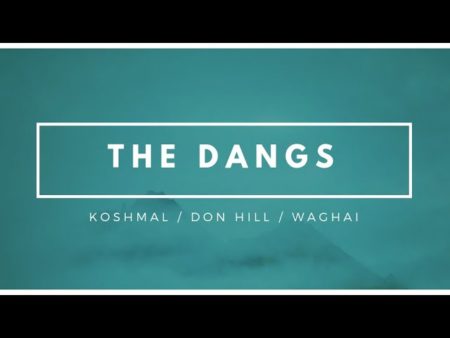 The Dangs Cinematic Video