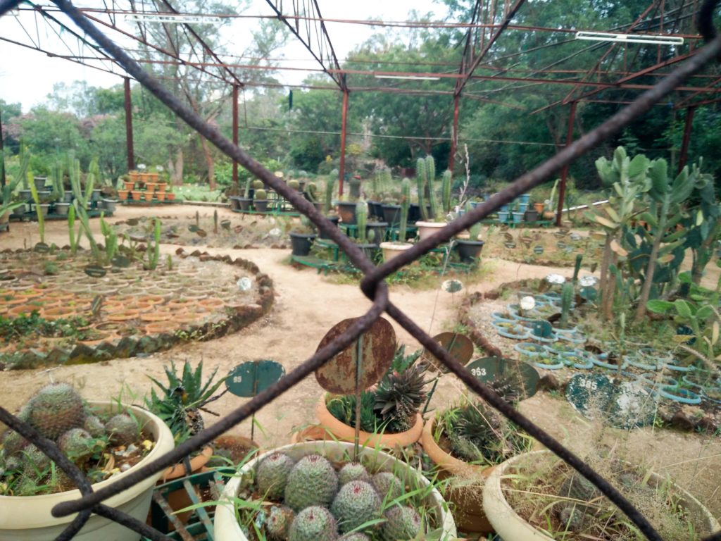 Botanical Garden Hyderabad Photo Tour217 Darpan Dodiya