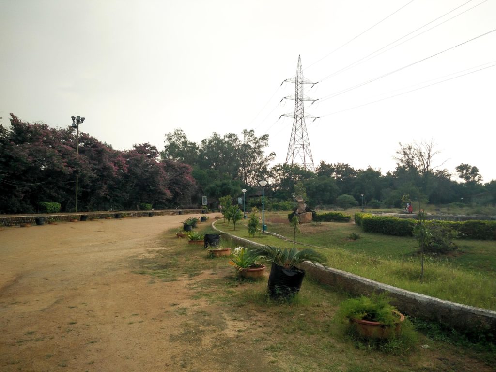 Botanical Garden Hyderabad Photo Tour3 Darpan Dodiya
